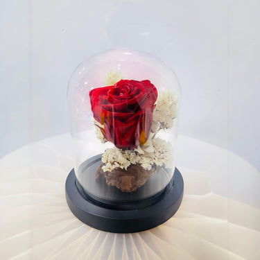 Preserved Rose in Glass Dome